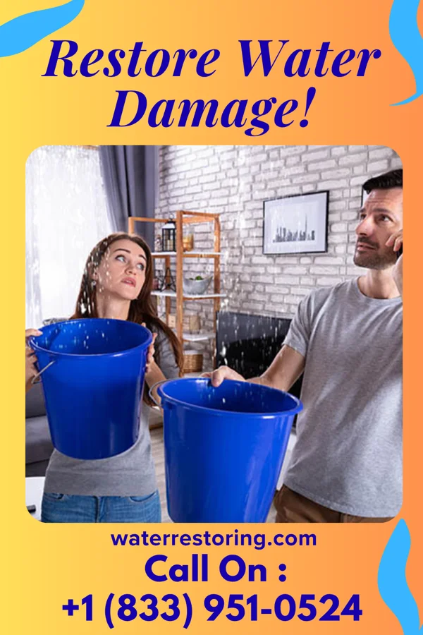 water restoration Patriot Water Repair Pros Dunreith