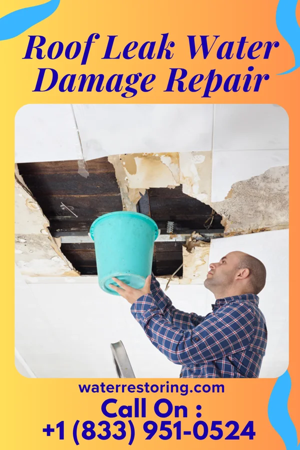 Roof Leak Water Damage Repair in Dunreith, IN