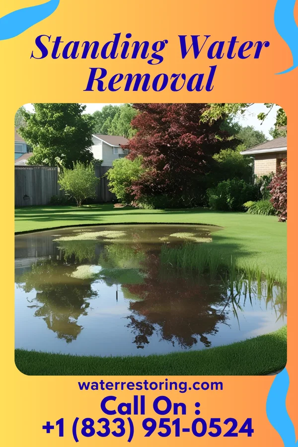 Standing Water Removal in Dunreith, IN
